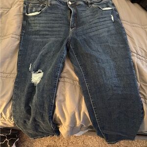 Terra & Sky Distressed Blue Capris